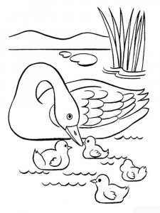 Swan coloring page 4 - Free printable