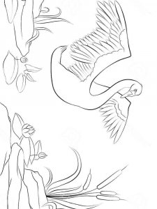 Swan coloring page 5 - Free printable