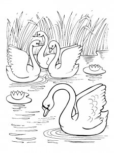 Swan coloring page 24 - Free printable