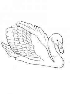 Swan coloring page 25 - Free printable