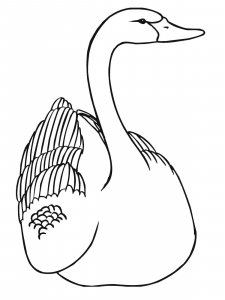 Swan coloring page 19 - Free printable