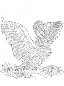 Swan coloring page 20 - Free printable