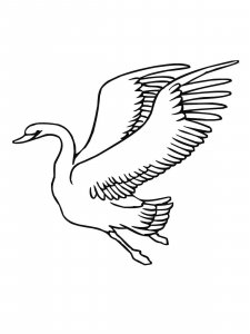 Swan coloring page 22 - Free printable