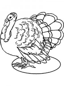 Turkey coloring page 46 - Free printable