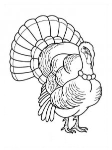 Turkey coloring page 36 - Free printable