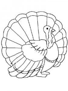 Turkey coloring page 39 - Free printable