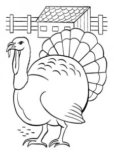 Turkey coloring page 41 - Free printable