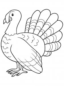 Turkey coloring page 12 - Free printable