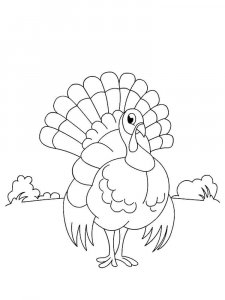 Turkey coloring page 2 - Free printable