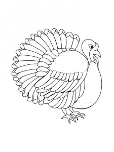 Turkey coloring page 23 - Free printable