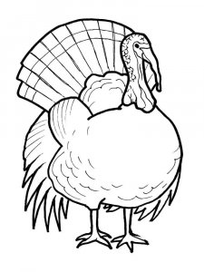 Turkey coloring page 26 - Free printable