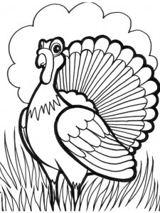 Turkey coloring page 28 - Free printable