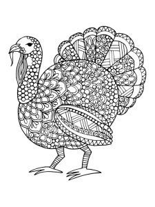 Turkey coloring page 31 - Free printable