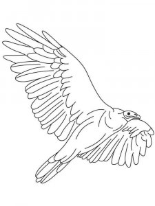 Vulture coloring page 25 - Free printable
