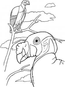 Vulture coloring page 19 - Free printable