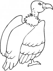 Vulture coloring page 23 - Free printable