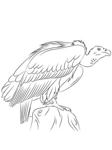 Vulture coloring page 10 - Free printable