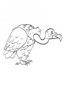 Vulture coloring page 13 - Free printable
