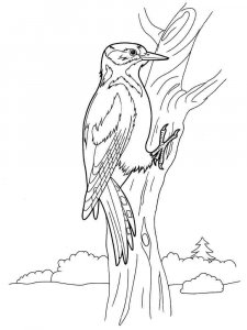 Woodpecker coloring page 1 - Free printable
