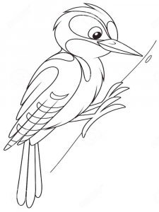Woodpecker coloring page 10 - Free printable