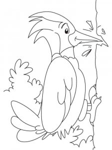 Woodpecker coloring page 13 - Free printable