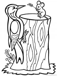 Woodpecker coloring page 4 - Free printable