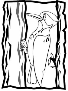 Woodpecker coloring page 7 - Free printable