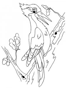 Woodpecker coloring page 20 - Free printable