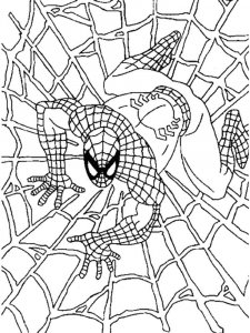 Coloring page Spiderman spun a web