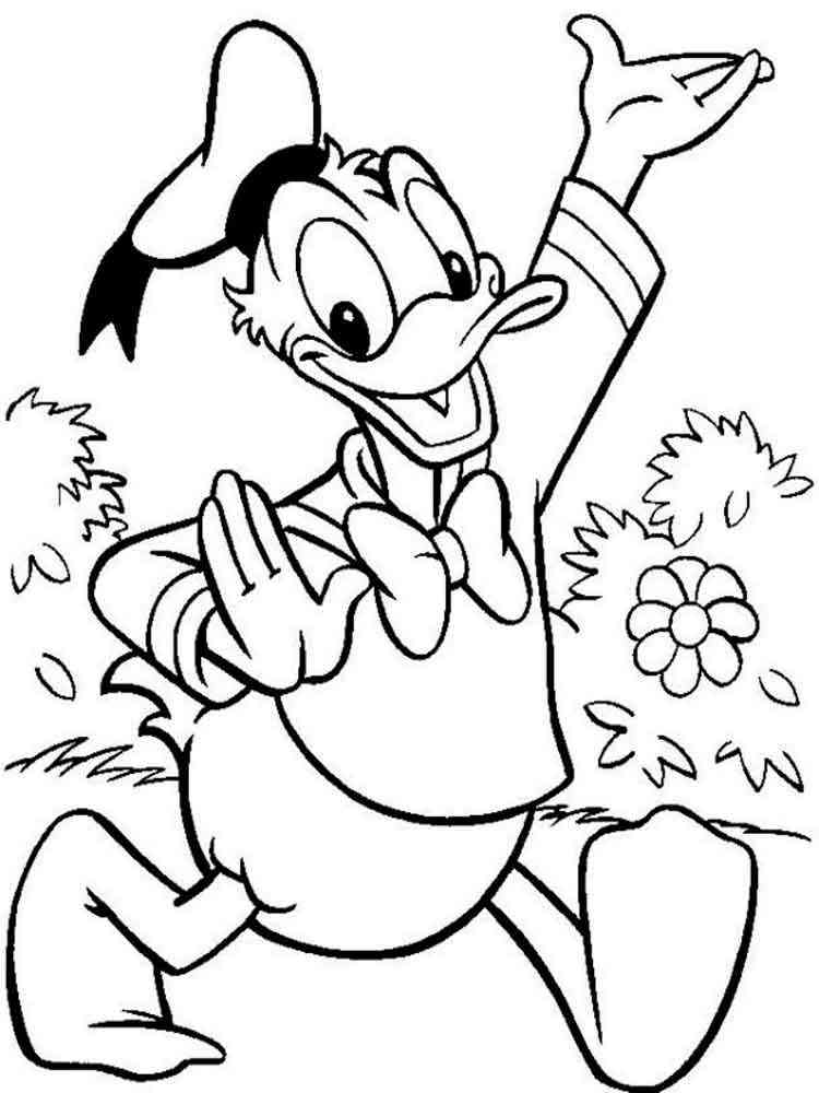 daisy duck donald duck coloring pages - photo #47