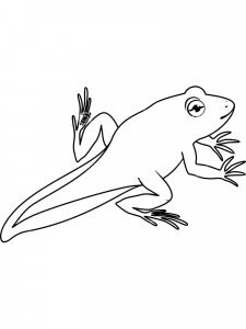 Amphibians coloring page 6 - Free printable