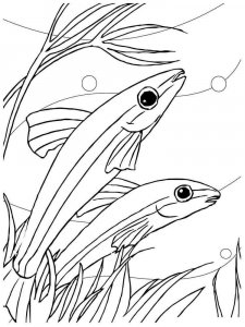 Aquarium Fish coloring page 10 - Free printable