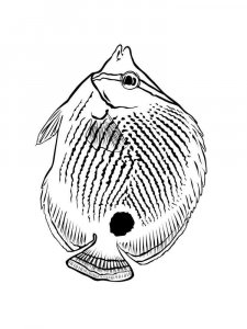 Aquarium Fish coloring page 13 - Free printable