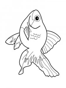 Aquarium Fish coloring page 14 - Free printable