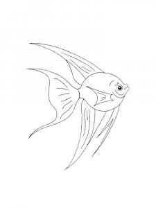 Aquarium Fish coloring page 15 - Free printable