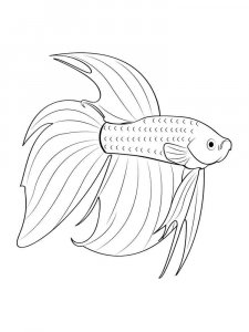 Aquarium Fish coloring page 16 - Free printable