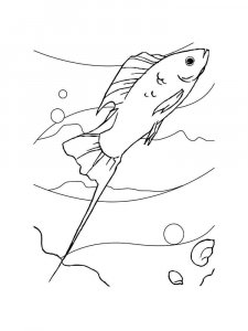 Aquarium Fish coloring page 17 - Free printable