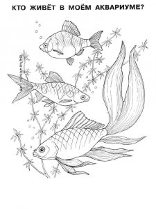 Aquarium Fish coloring page 2 - Free printable