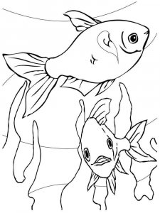 Aquarium Fish coloring page 5 - Free printable