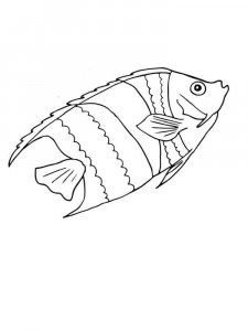 Aquarium Fish coloring page 7 - Free printable
