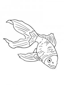 Aquarium Fish coloring page 8 - Free printable