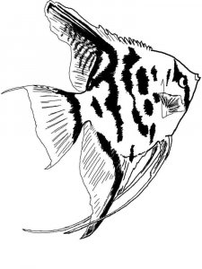 Aquarium Fish coloring page 9 - Free printable