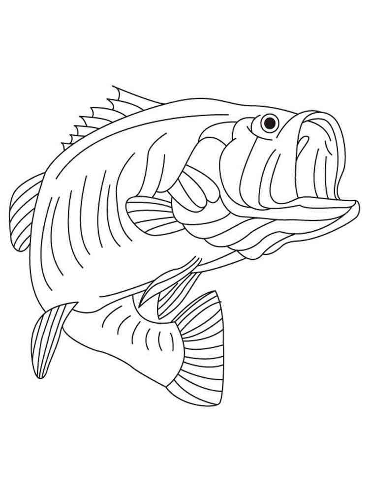 Bass Fish Coloring Pages Download Print Basses 8 Free