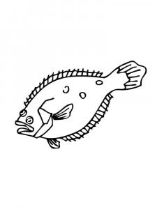 Flounder coloring page 12 - Free printable