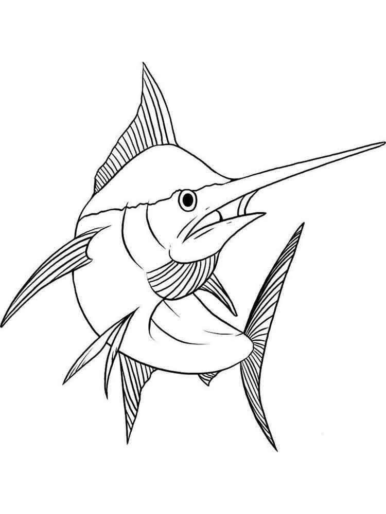 Animal Marlin Coloring Page with simple drawing