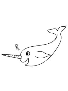 Narwhal coloring page 10 - Free printable