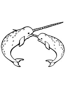 Narwhal coloring page 13 - Free printable