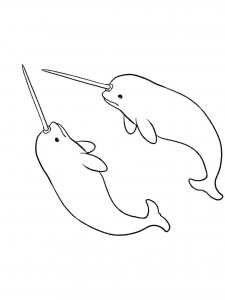 Narwhal coloring page 14 - Free printable