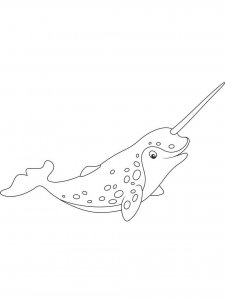 Narwhal coloring page 2 - Free printable