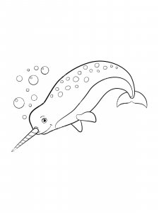 Narwhal coloring page 6 - Free printable